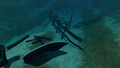 Thumbnail for version as of 14:19, 29 May 2017