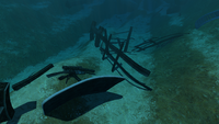 Debris