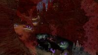 A large cave in the Aquarium