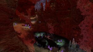 Largeaquacave.jpg