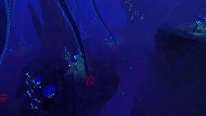 NorthernFissure.jpeg