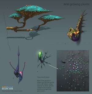Plants cliff.jpg