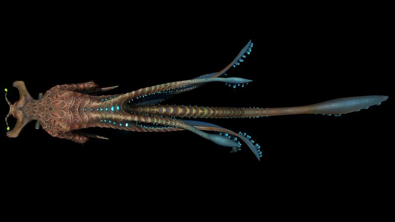 File:Sea Emperor (Black)-1.jpg