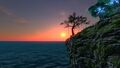 Thumbnail for version as of 18:05, 22 January 2018