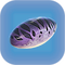 Crabsnake Egg.png
