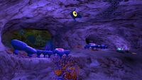 Safe shallows caves