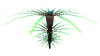 Fern Palm Flora.png