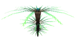 Fern Palm Flora.png