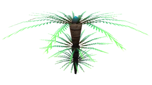 Fern Palm Flora.png