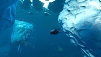 A diving Glow Whale