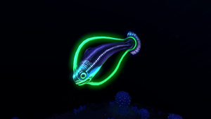 Hoopfish Bulb Zone.png