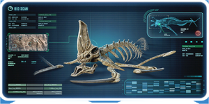 ReaperSkelEncy.PNG