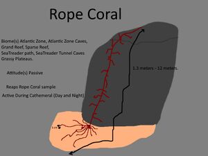 Rope Coral Concept.jpg