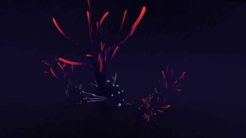 File:TentaclePlant.jpg