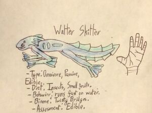 81643EE8-AEFF-4C72-8BC9-812B19783C2E.jpeg