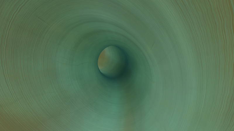 File:CoralTubesInside.png