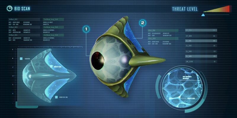 EyeEye.jpg