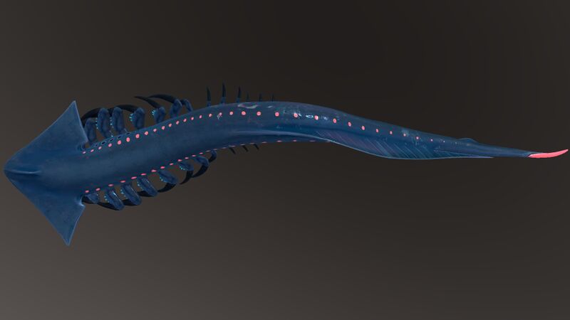 File:ShadowLev4.jpg
