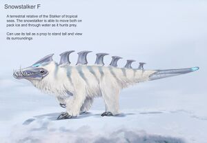 Snow StalkerF.jpg