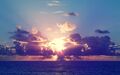 Thumbnail for version as of 19:23, 23 December 2016