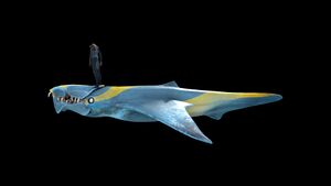 Brute Shark Sizeref 1.jpg