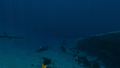 Thumbnail for version as of 14:22, 29 May 2017