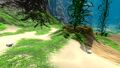 Hoverfish in Kelp Forest
