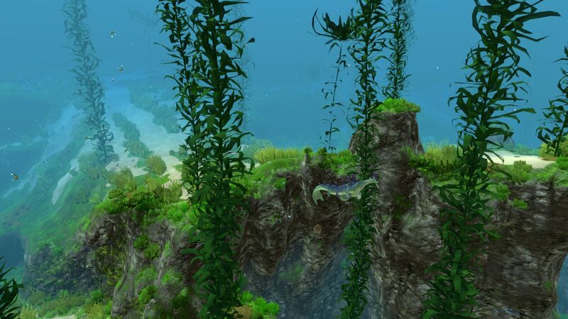 File:Kelp Forest (17).jpg