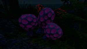 Purple Rattle (6).jpg