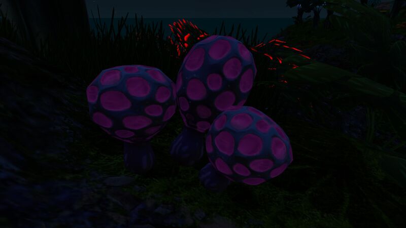 File:Purple Rattle (6).jpg