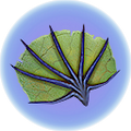Thumbnail for version as of 18:29, 24 April 2019