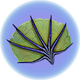 Pygmy Fan.png