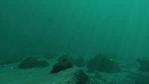 SparseReef7Overview.jpg