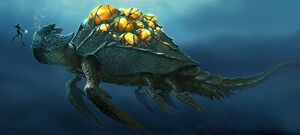 Turtle Concept Hi Res.jpg