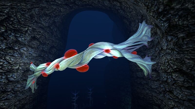 File:Blood Cave Root (2).jpg
