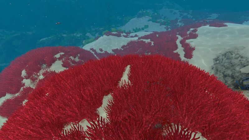 File:BloodgrassPatch.jpg