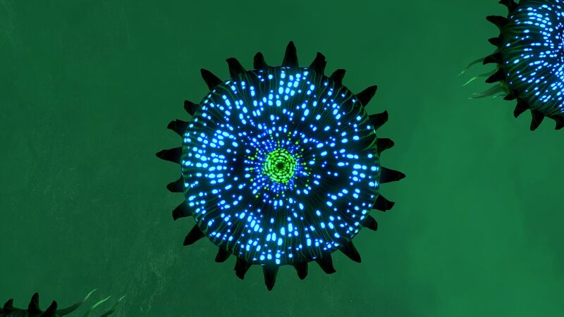 File:Brine Lily 1.jpg