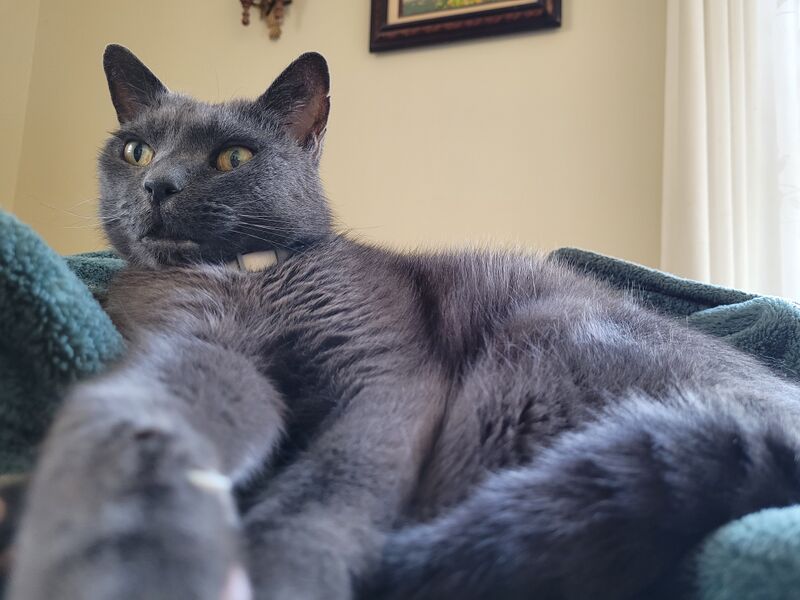File:Keta selfie.jpg