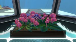 Planter Box (2).jpg