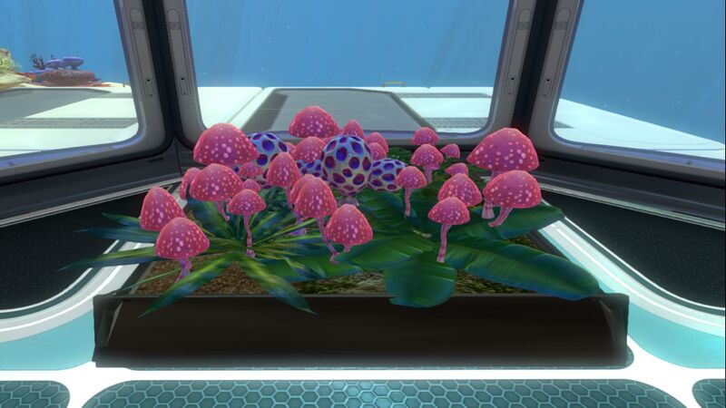 File:Planter Box (2).jpg