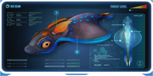 Rabbit Ray-0.png