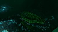 A Sea Dragon Leviathan skeleton found in the Junction