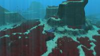 A Sand Shark in the Grassy Plateaus