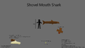 Shovel Mouth Shark