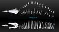 Entire fossil compared to Ryley, the Seamoth, Prawn Suit and Cyclops