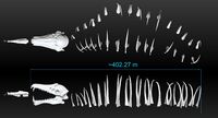 Entire fossil compared to Ryley, Seamoth, Prawn Suit and Cyclops
