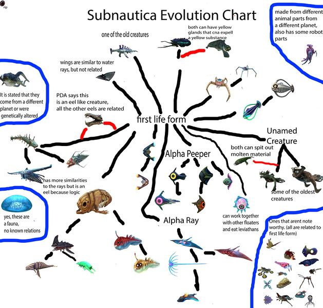 File:The old outdated Subnautica Chart.jpg