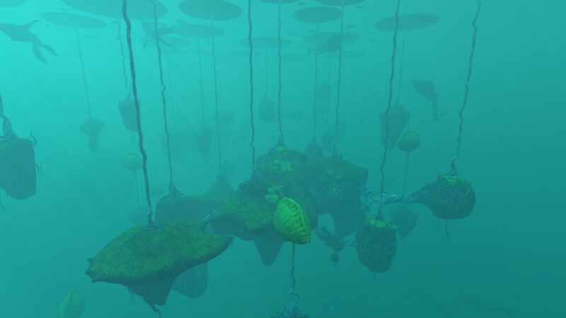 File:20191027213645 1.jpg