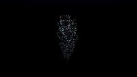 Cave Bush