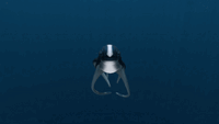 The Cuddlefish being teased and then getting a treat